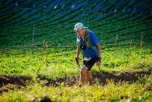 BIB: 
                            <button type="button" onclick="openModal(19160225)" class="btn btn-primary btn-sm float-right btn-popup" data-toggle="modal" data-target=".modal-high-quality">
                        <i class="fas fa-shopping-cart"></i> Add to Cart
                    </button>
                                            <button type="button" onclick="isThisMe(19160225, true)" class="btn btn-success btn-sm float-right btn-popup btn-isme hidden" data-toggle="tooltip" data-placement="bottom" title="นี่คือรูปของคุณใช่ไหม คลิกที่นี่เพื่อเอาเข้าอัลบั้ม">
                        <i class="fas fa-plus"></i> Add to album
                    </button>
                    <button type="button" onclick="isThisMe(19160225, false)" class="btn btn-warning btn-sm float-right btn-popup btn-isnotme hidden">
                        <i class="fas fa-ban"></i> Remove from album
                    </button>